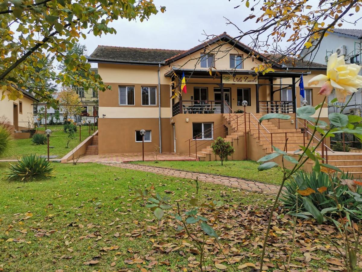 Vila Zuela Buziaş Εξωτερικό φωτογραφία